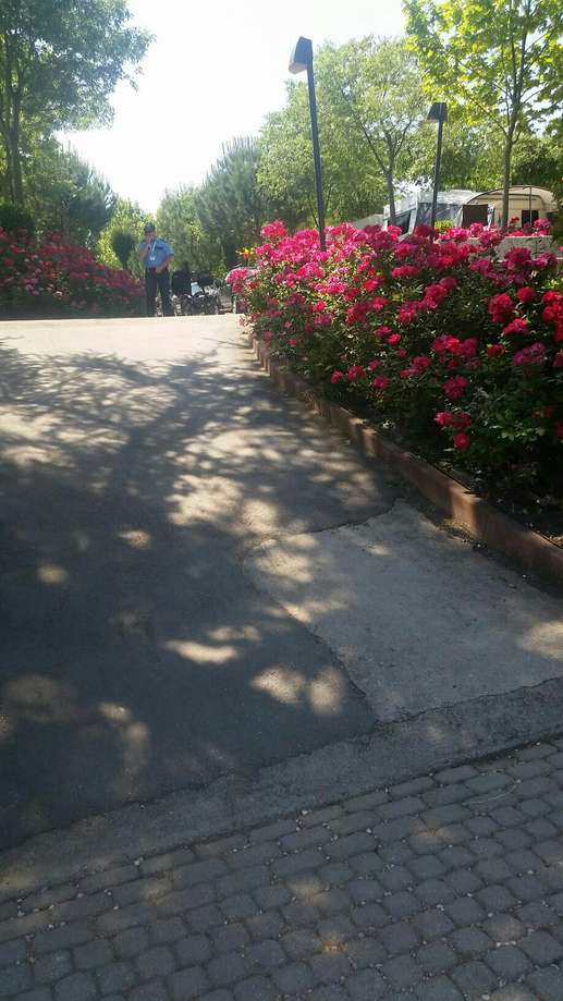 Added a photo to a location