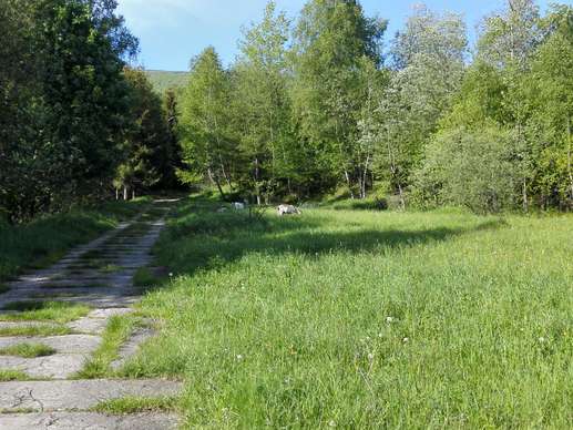 Added a photo to a location