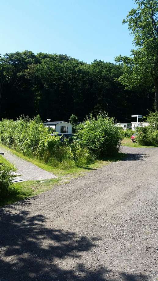 Added a photo to a location