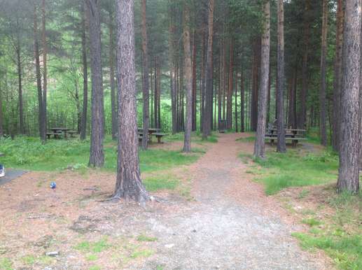 Added a photo to a location