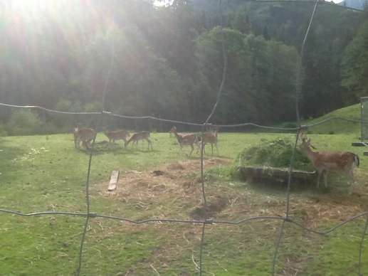 Aggiunta una foto a una posizione