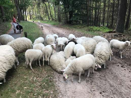 Een foto toegevoegd aan een locatie