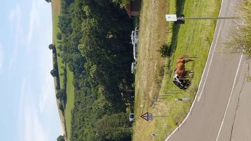 Aggiunta una foto a una posizione