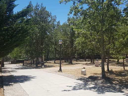 Added a photo to a location