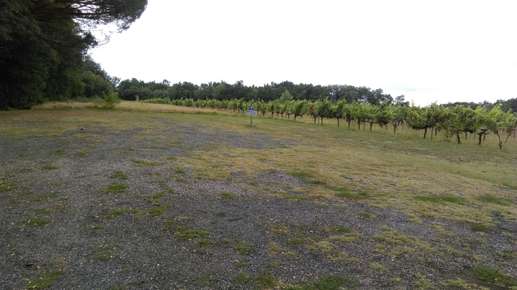 Added a photo to a location