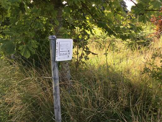 Added a photo to a location