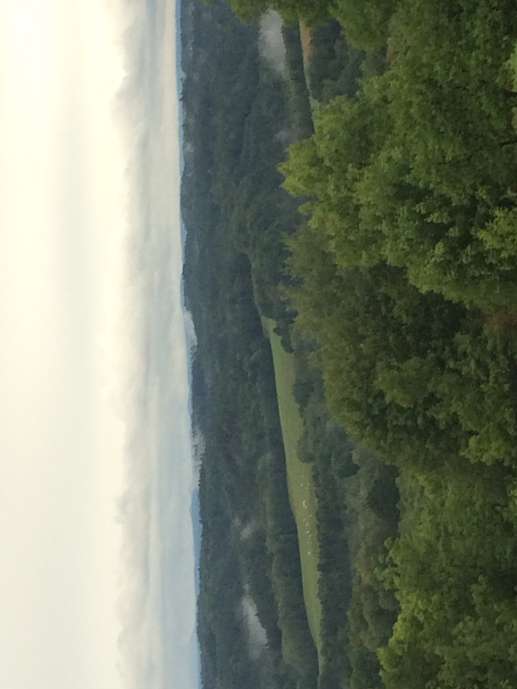 Added a photo to a location
