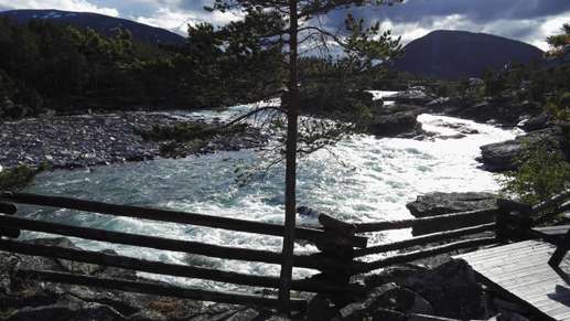 Added a photo to a location
