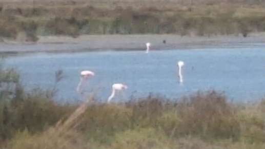 Een foto toegevoegd aan een locatie