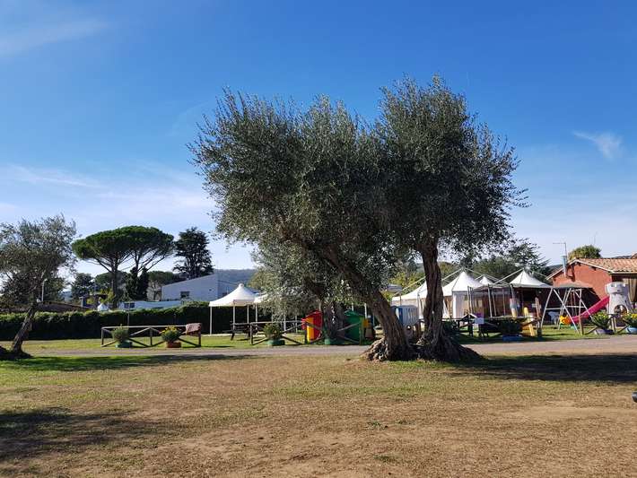 Circolo Ricreativo Culturale L'Isola che non c'è