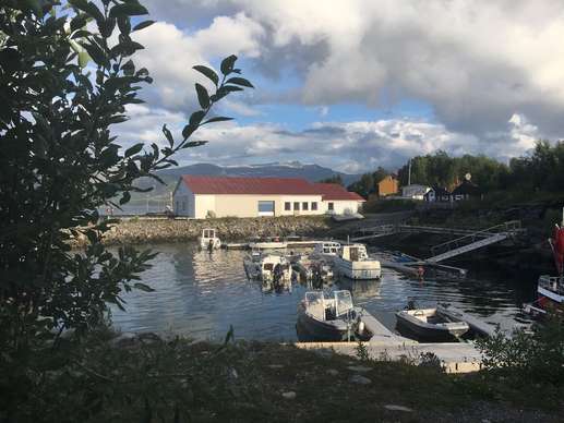 Added a photo to a location