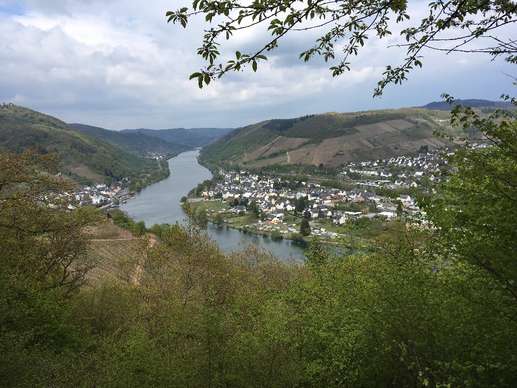 Een foto toegevoegd aan een locatie