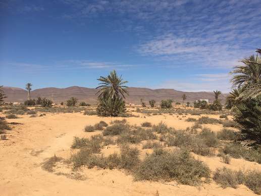 Added a photo to a location
