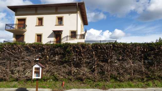 Added a photo to a location