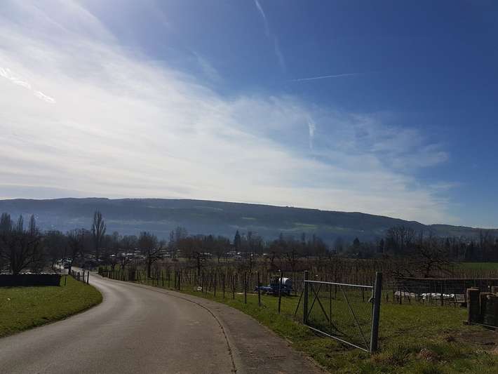 Campingplatz Horn Bodensee