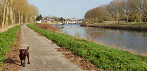 Added a photo to a location