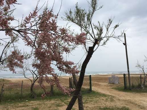 Aggiunta una foto a una posizione