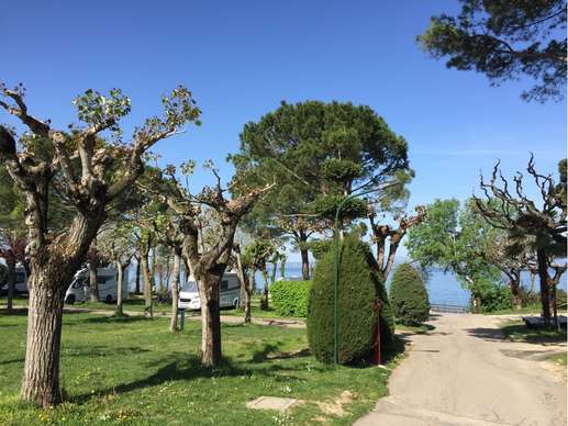 Added a photo to a location