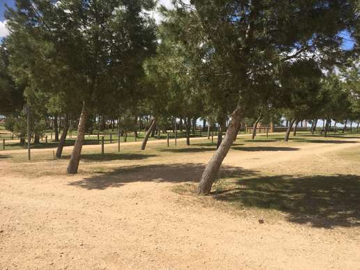 Added a photo to a location