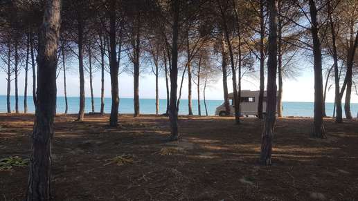 Added a photo to a location