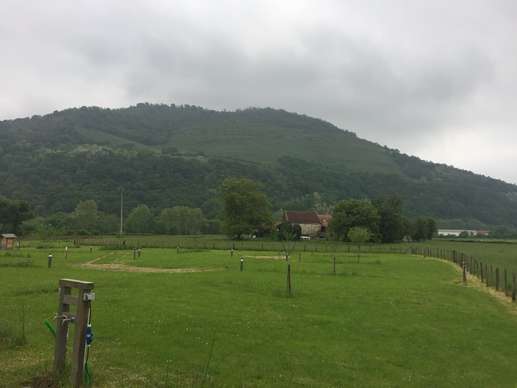 Added a photo to a location