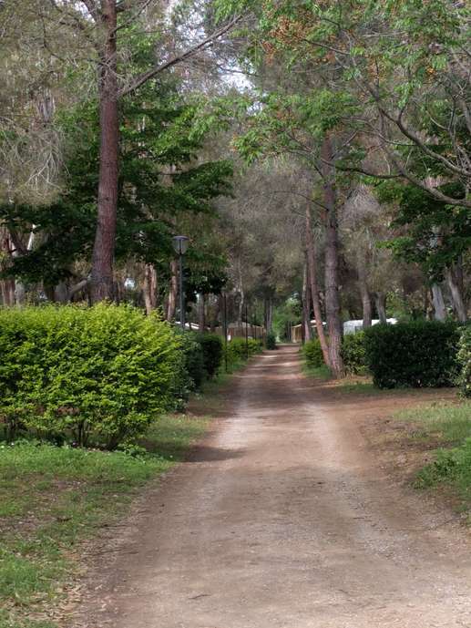Aggiunta una foto a una posizione