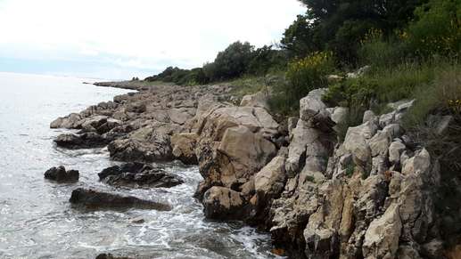 Added a photo to a location