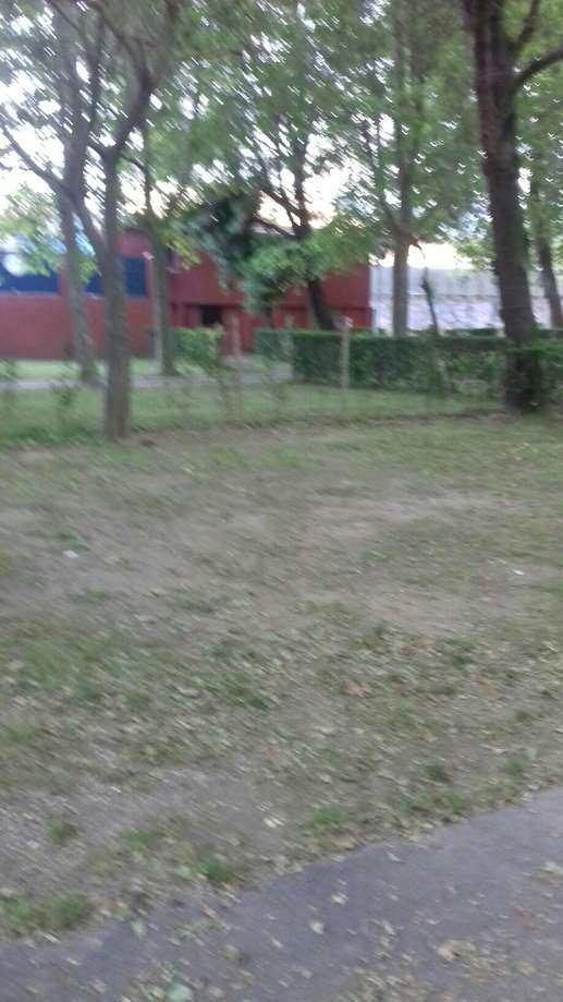 Added a photo to a location