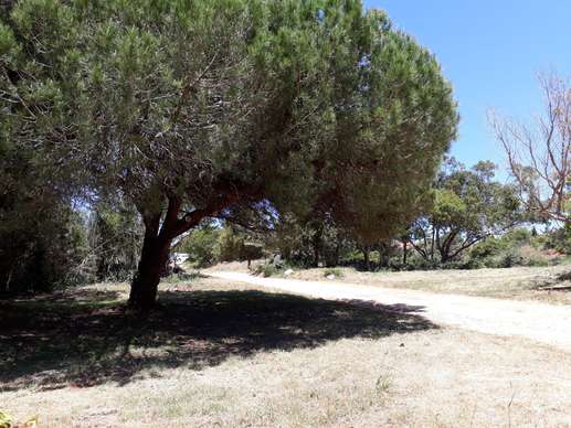 Ajout d'une photo à un emplacement
