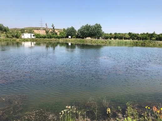 Added a photo to a location