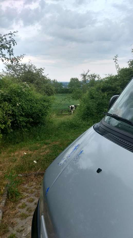 Aggiunta una foto a una posizione
