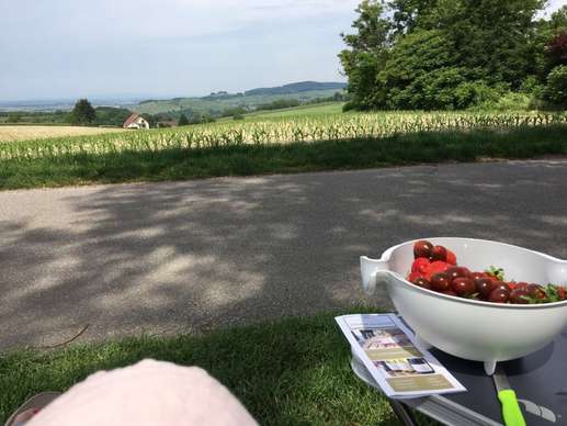 Een foto toegevoegd aan een locatie