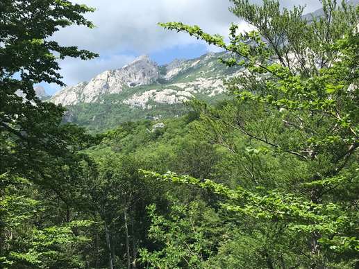Added a photo to a location