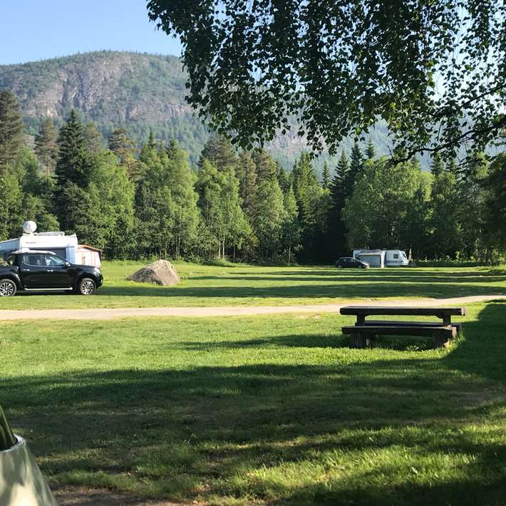 Ål Camping