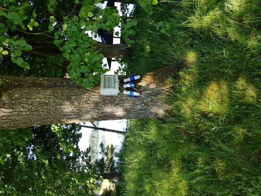 Added a photo to a location