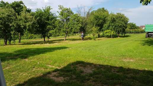 Added a photo to a location