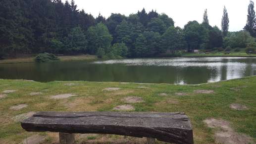 Een foto toegevoegd aan een locatie