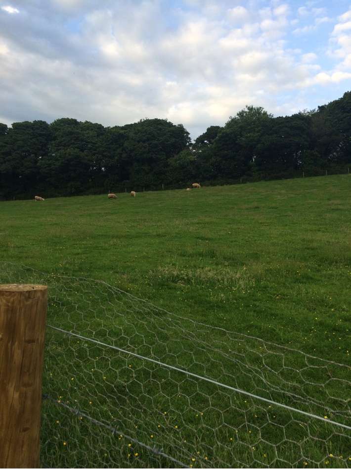 Come to Good Farm