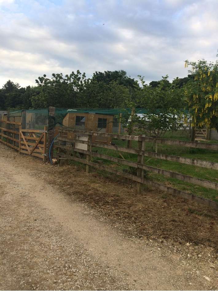 Come to Good Farm