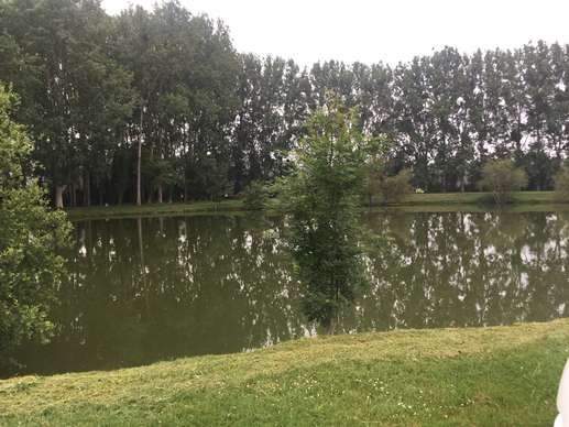 Added a photo to a location