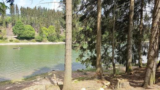 Added a photo to a location