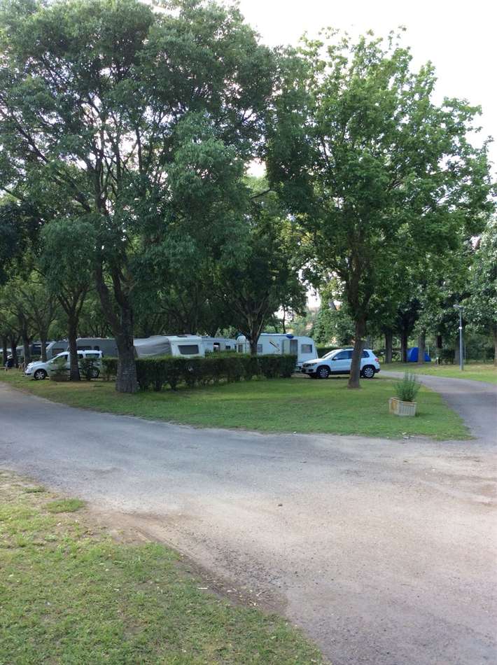 Camping a l'Ombre des Micocouliers