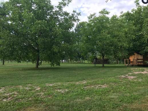 Added a photo to a location