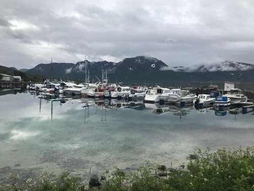 Een foto toegevoegd aan een locatie