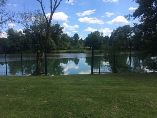 Added a photo to a location