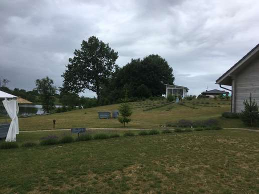 Added a photo to a location