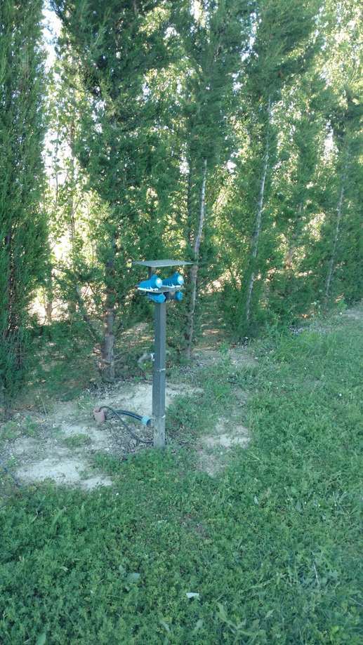 Een foto toegevoegd aan een locatie