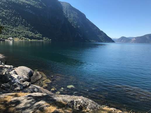 Een foto toegevoegd aan een locatie