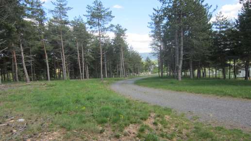 Added a photo to a location
