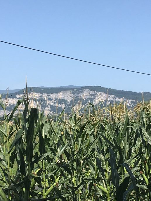 Een foto toegevoegd aan een locatie